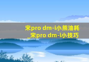 宋pro dm-i小熊油耗_宋pro dm-i小技巧